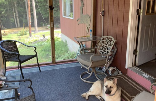 Thornton Cabine | Family Fun Cabin near Franconia Notch & White Mountains. Pet Friendly.