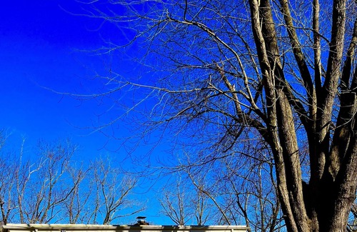 Egg Harbor Township Maison | Family getaway? Business retreat? Event planning? This is the location for you.