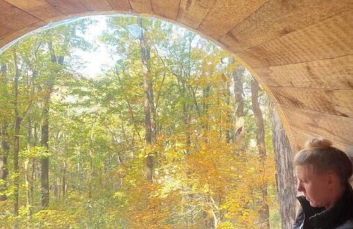 Wildwood Cabine | Family & Pet Friendly Treehouse with Amazing Views