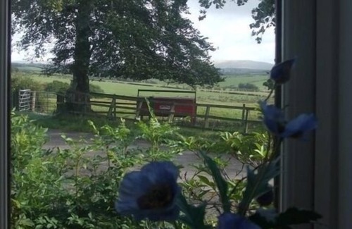 Mauchline Autre | Famille-Standard-Salle de bain partagée-Sleeps 4