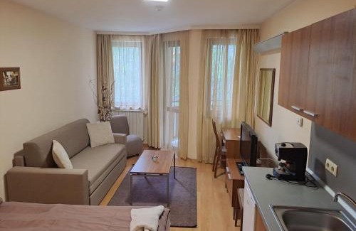 Borovets Appartement | Family Studio 302, Villa park
