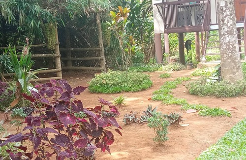 Vayittiri Maison | Family Villa is a hut Style Accommodation