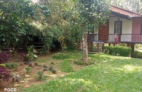 Vayittiri Maison | Family Villa is a hut Style Accommodation