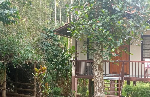 Vayittiri Villa | La villa familiale est un hébergement de style cabane