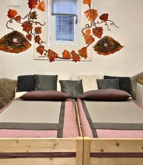Rezi Appartement | Family Wellness Jacuzzi Sauna Wood Fired Hot Tub 8 Min from Heviz