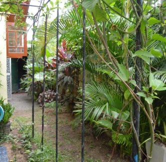 Ettukala Maison | Familyhouse