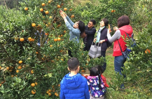 Emei Maison | Fanny Manor B&B