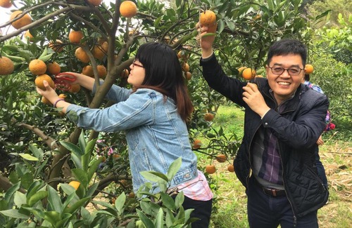 Emei Maison | Fanny Manor B&B
