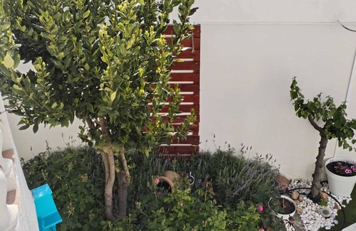 Alhambra Maison | Fantástica Vivienda Turística Totalmente Renovada y Rodeada de Viñas Manchegas