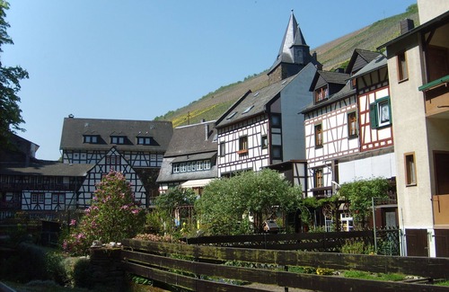 Mainz-Bingen Appartement | Fantastic view high above the Rhine