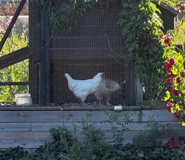 Habo Maison | Fantastisk Vätterutsikt mellan Habo och Bankeryd.
