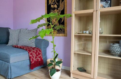 Detmold Appartement | farbenfrohe Ferienwohnung