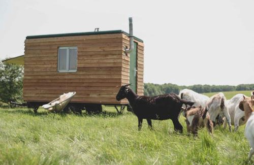 Selpin Station Balnéaire | Farm Cabin im Grünen