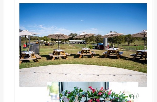 Lissie Maison | Farm experience and group getaway at Pazific Ranch