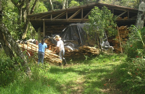 Concepcion Location De VR | Farm in heredia with tons of forest and great hikes