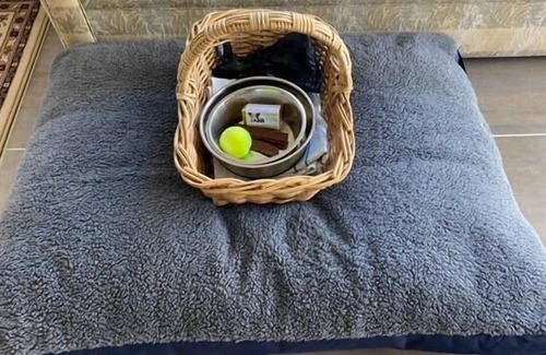 Thirlmere Maison | Farm Stay at Camellia Cottage pet friendly