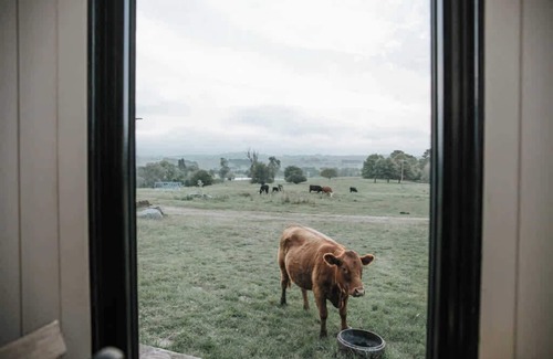 Braidwood Maison | Farm Stay Tiny House by Tiny Away