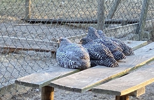 Bismark Appartement | Farm holidays in the Altmark in the middle of nothing at all