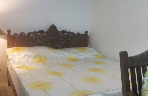 Gapan City Appartement | Farmhouse Perfect for relaxing and grounding