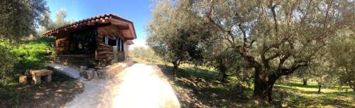 Oasis Maison | Farmhouse Prosilio