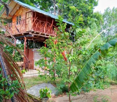 Dambulla Maison | Farming Tree House