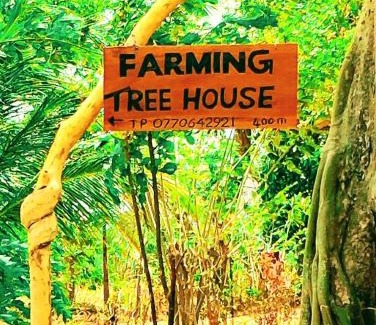 Dambulla Maison | Farming Tree House
