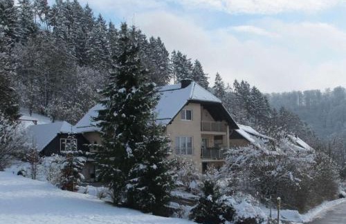 Delliehausen Maison | Fasse Comfortable holiday residence