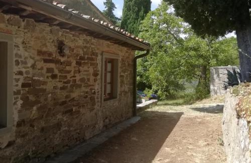 Pontassieve Maison | Fattoria di Cintoia
