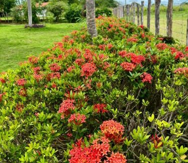 Campo Maior Maison | Fazenda Aprazível