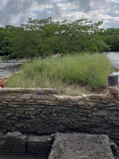 Ilha de Itamaraca Maison | FAZENDA BOSQUE DAs PALMEIRAS