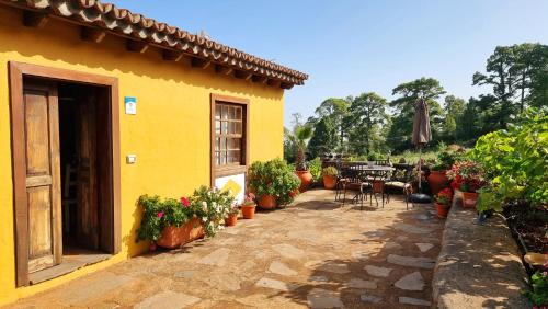 Puntagorda Maison | Federico