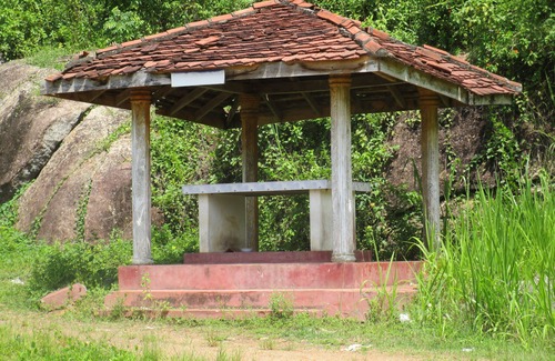 Unawatuna Hôtel | Sentez-vous chez vous dans cet éco-lodge au milieu de bois verts luxuriants avec un massage apaisant