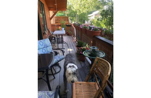 Aspen Maison | Feel like a Local in Aspen