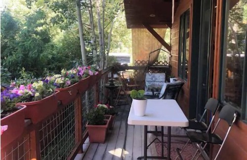 Aspen Maison | Feel like a Local in Aspen