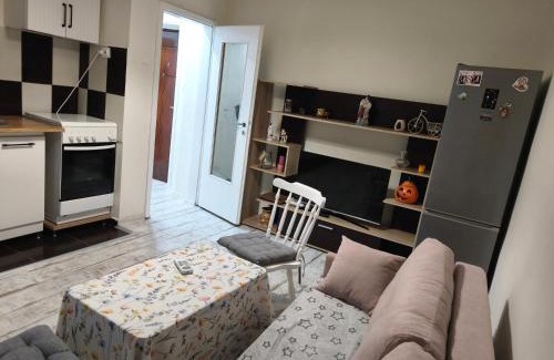 Emanoil Gojdu Appartement | Feels like home
