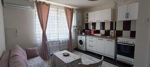Emanoil Gojdu Appartement | Feels like home