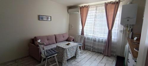 Emanoil Gojdu Appartement | Feels like home