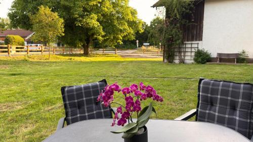 Freilassing Maison | Feilchenhof