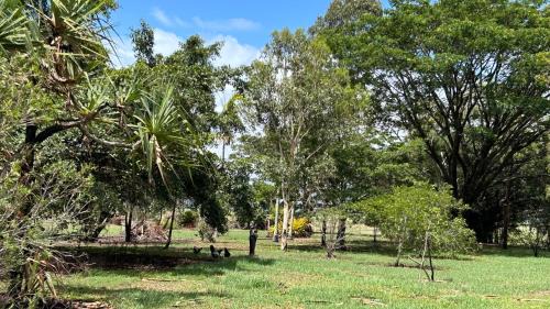 Foxdale Maison | Feng Shui Sugarcane Cabin
