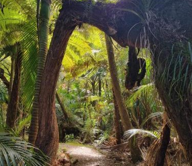 Karamea Maison | Fenian Retreat