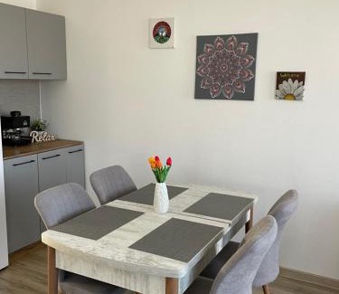 Odorheiu Secuiesc Appartement | Fenyő Apartman