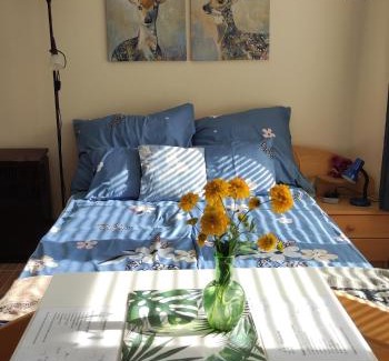 Szalkszentmarton Appartement | Fenyves-lak