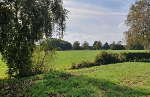 Idafehn Appartement | Ferien am Idasee 85041