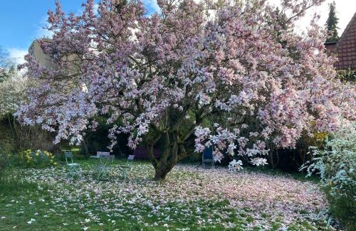 Neustadt an der Weinstrasse Appartement | Ferienwohnung am Park