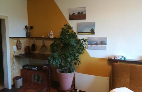 Dettmannsdorf Appartement | Ferien in der Scheune
