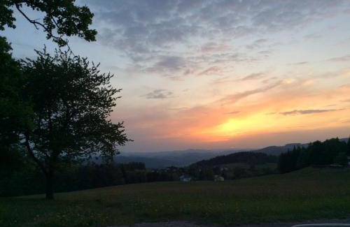 Vorderweißenbach Maison | Ferienbauernhof Koller (Familie Hofer) - Urlaub am Bauernhof