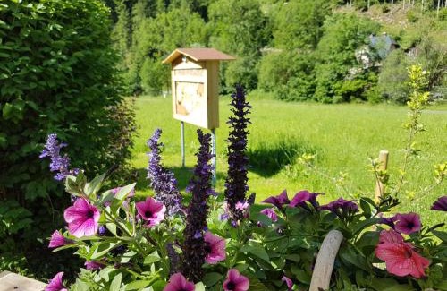 Waldbach-Monichwald Appartement | Feriendomizil Wetzelberger