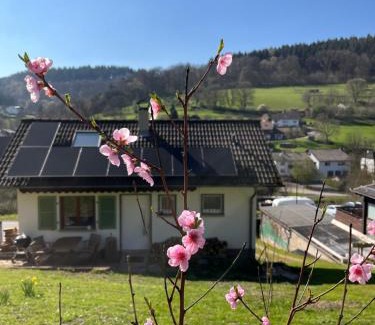Schonbrunn Maison | Ferienhäusel Allemühl