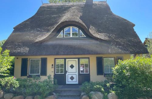 Dierhagen Dorf Maison | Ferienhäuser Küstenwaldvilla
