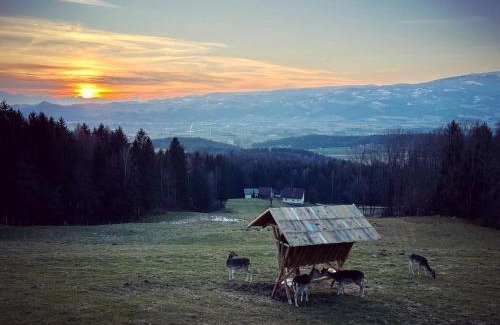 Wolfsberg Appartement | Ferienhütte Simon Gregor